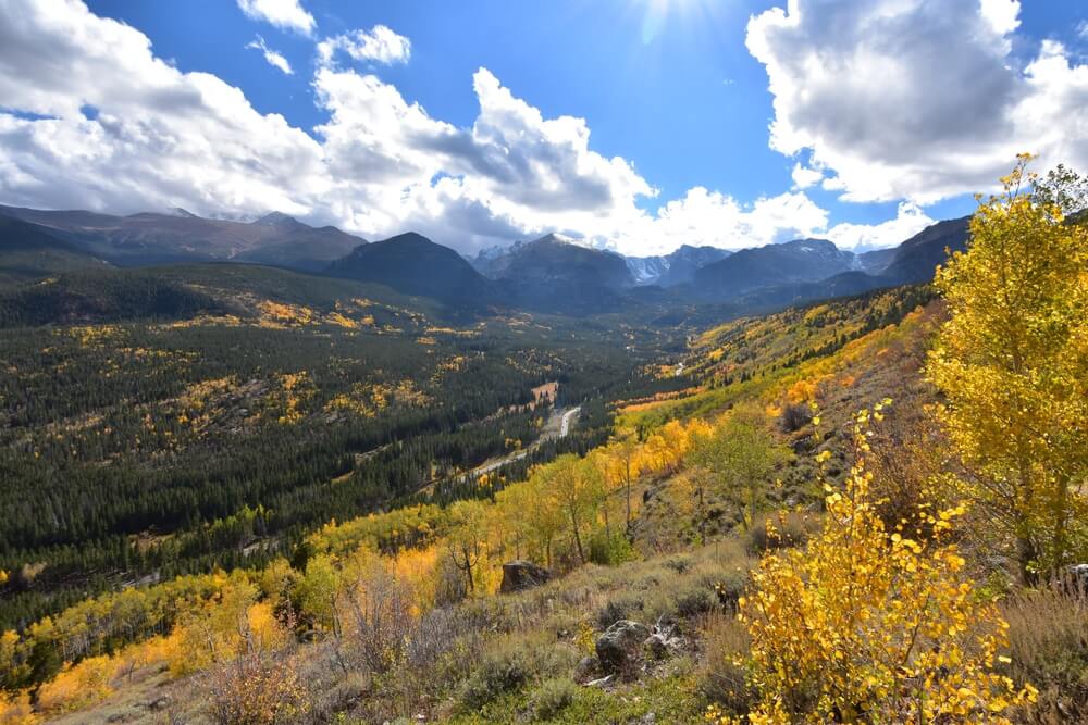 Yellow fall foliage with the Rocky Mountains in the background